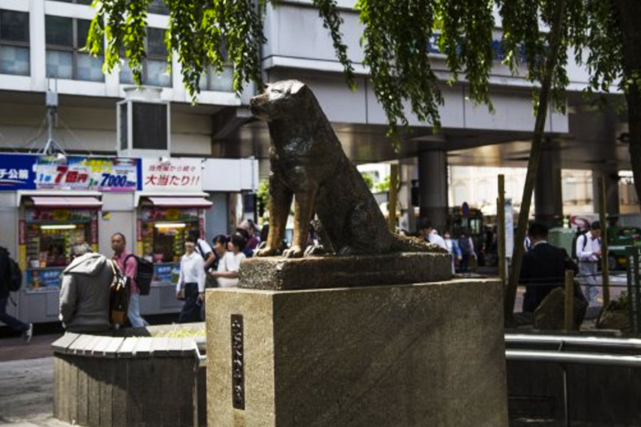 Estatua de Hachiko en Shibuya